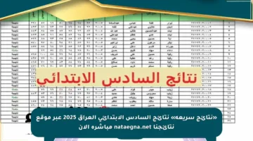 «نتائج سريعة» نتائج السادس الابتدائي العراق 2025 عبر موقع نتائجنا nataegna.net مباشرة الآن